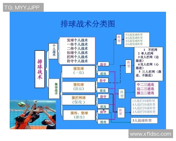 深圳排球队防反战术深度解析与实战应用探讨
